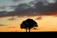 Clehonger Herefordshire.