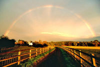 Evening Rainbow Pixley.