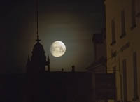 Hereford Moon