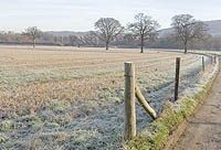 Ledbury frost and railway bridge