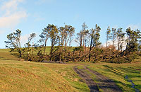 Radnor Forest Powys Wales.